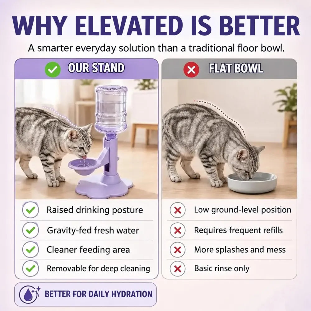 Gravity-Fed Pet Water Dispenser – Adjustable No-Electric Cat & Small Dog Water Bowl
